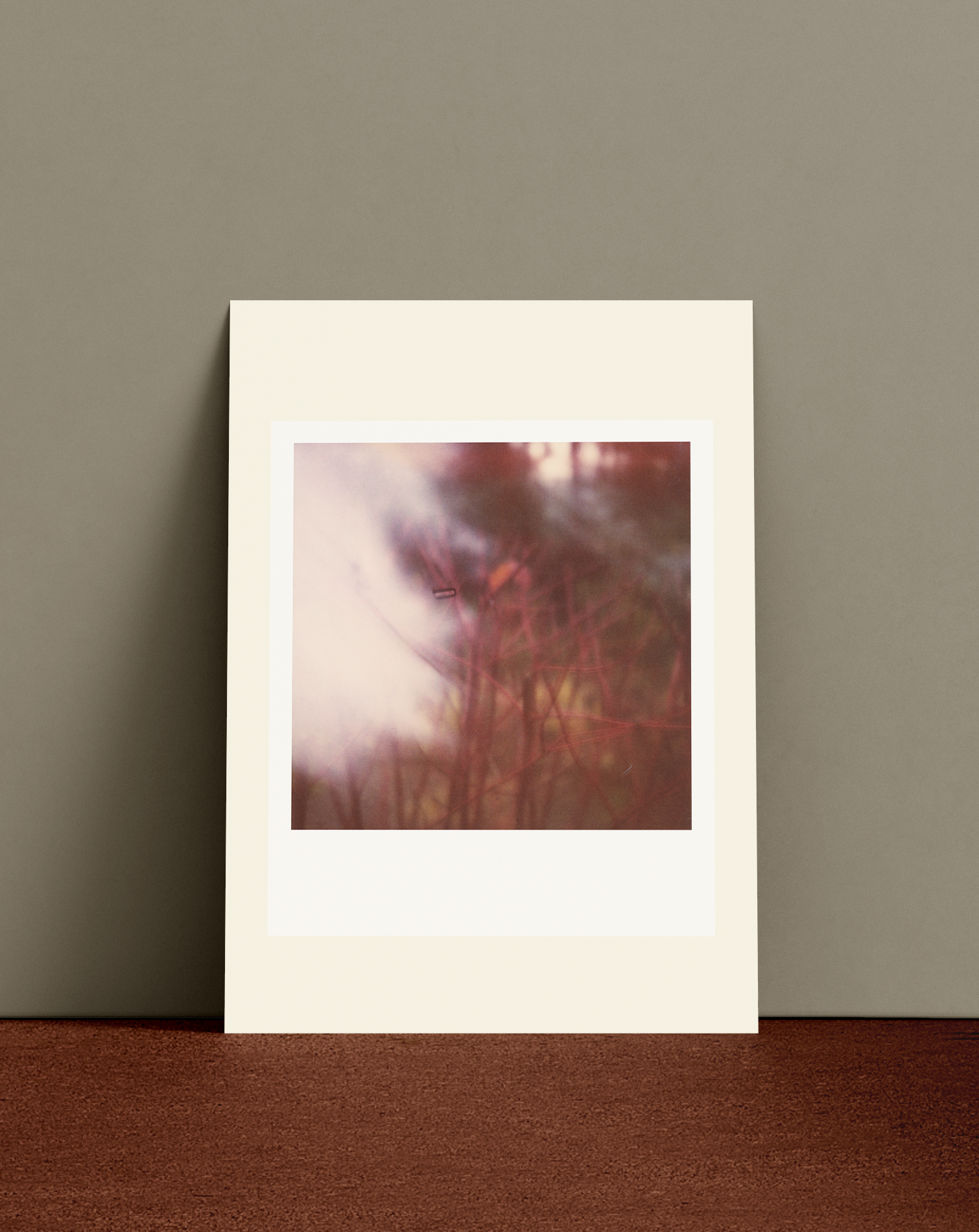 Polaroid 0750 - A6 Print