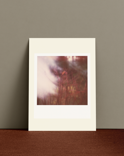 Polaroid 0750 - A6 Print