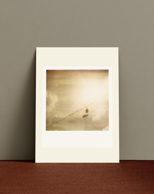 Polaroid 1250 - A6 Print